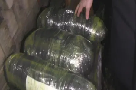 19 kiloqram narkotik dövriyyədən çıxarıldı