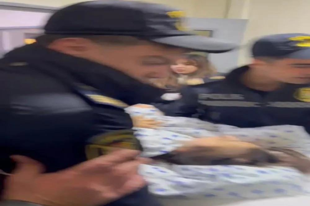 DİN: Perinatal Mərkəzində baş verən yanğınla bağlı polis əməkdaşları təhlükəsizlik tədbirləri görüb - FOTO
