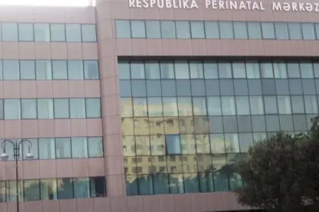 “15 il idi ki, övlad həsrəti çəkirdik...“ - Yanğından yarım saat əvvəl doğulan üçəmlərin ATASI