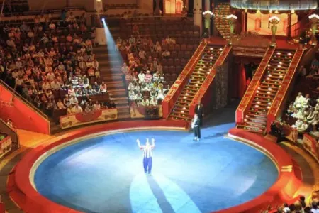 Bakı Dövlət Sirkinin fəaliyyəti dayandırıldı - SƏBƏB