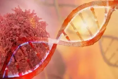 Xərçəng hüceyrələrini məhv etməyin yeni yolu tapıldı