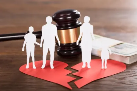 Alimentin minimum məbləği qaldırıldı - RTV VİDEO