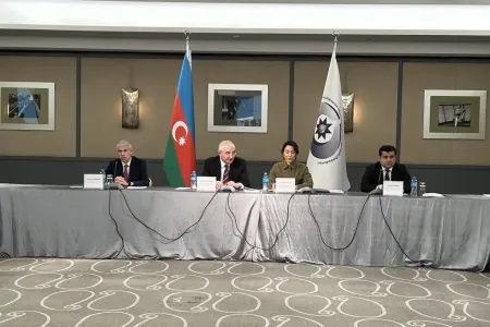 Ombudsman aparatı seçkilərlə bağlı monitorinqlərə başlayır