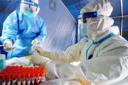 Yarasalardan insanlara keçən yeni virus aşkar edildi