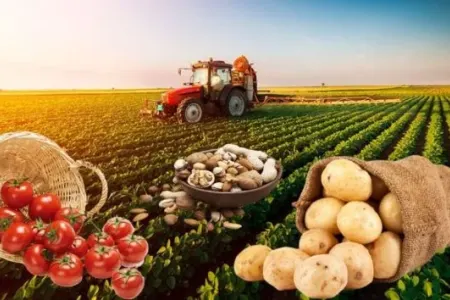 Kənd təsərrüfatında dividend gəlirləri - vergidən azad olundu