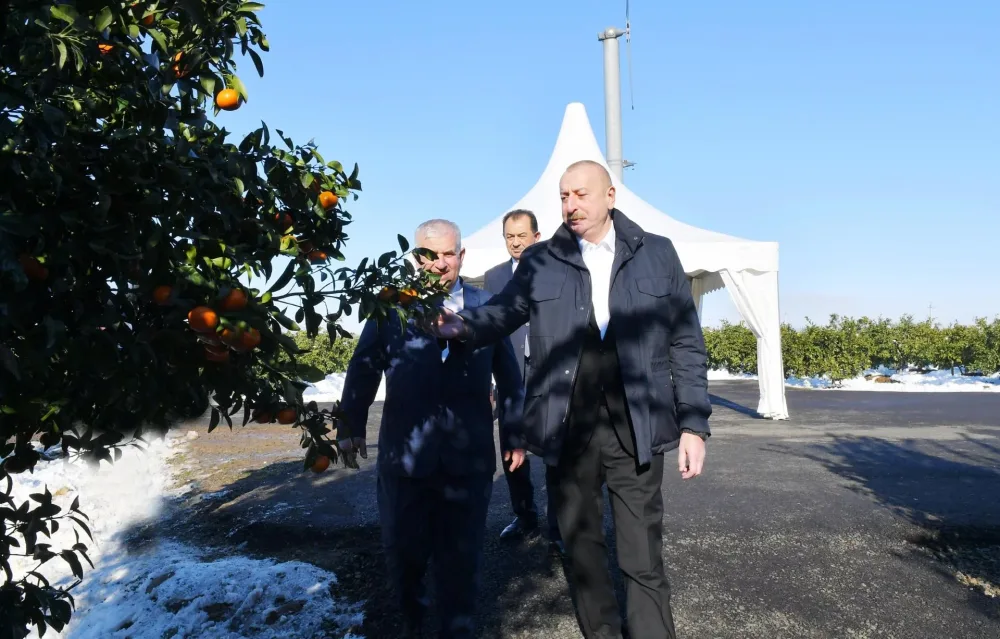 Prezident Lənkəran rayonuna gedib - YENİLƏNDİ