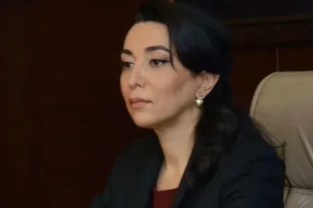 Ombudsman: Mirzoyanın xəritə açıqlaması bunu təsdiqləyir