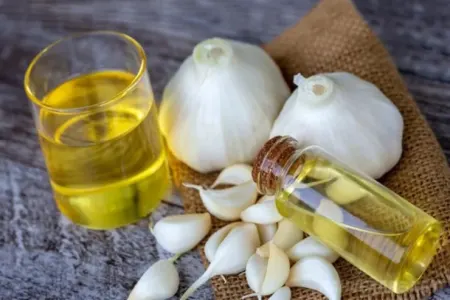 Əzilmiş sarımsaq-zeytun yağını ayaqlarınıza çəkin! - Görün nəyə faydalıdır