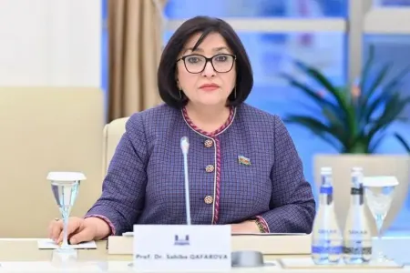 "Heç bir dövlət Azərbaycana təzyiq göstərə bilməz"