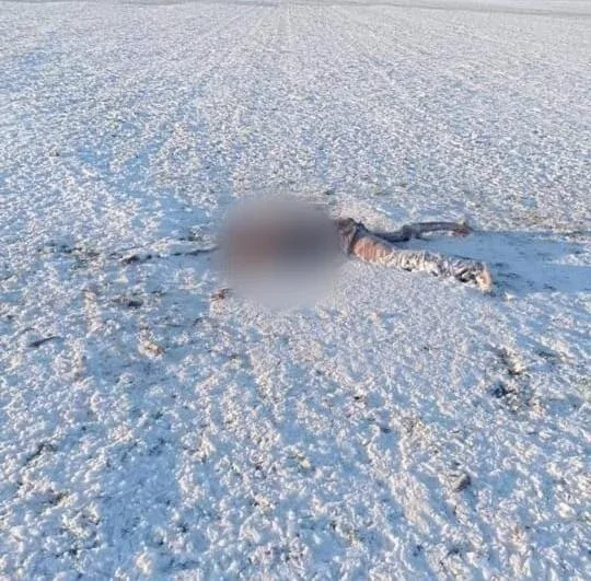 Sumqayıt sakinini 8 canavar parçaladı - FOTO