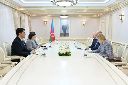 Əcnəbi müşahidəçilər seçkilərin beynəlxalq qaydalara uyğun keçirildiyini bildirdi