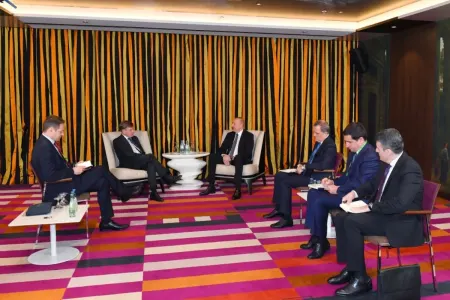 Prezident Almaniya-Cənubi Qafqaz parlament qrupunun sədri ilə görüşdü