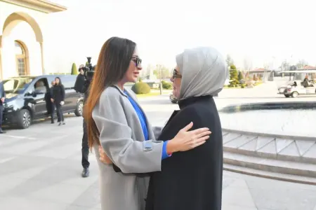 Ankarada birinci xanımların görüşü oldu