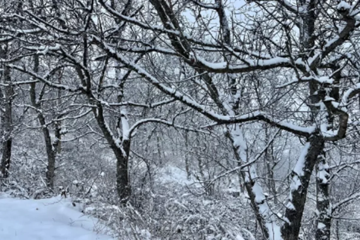 Hava yenidən pisləşəcək: - Qar yağacaq