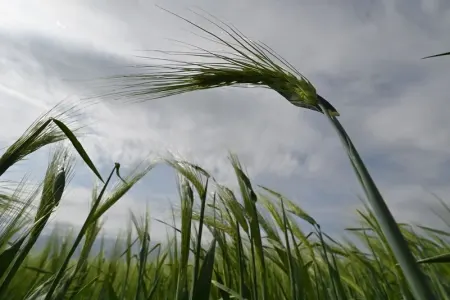 80 milyard dollardan çox zərər