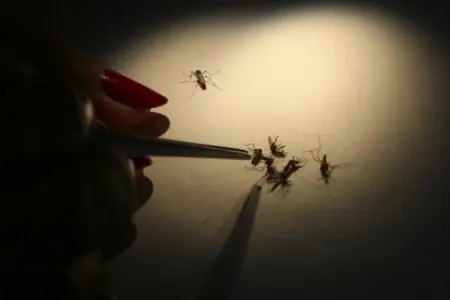 Peruda fövqəladə vəziyyət elan edildi