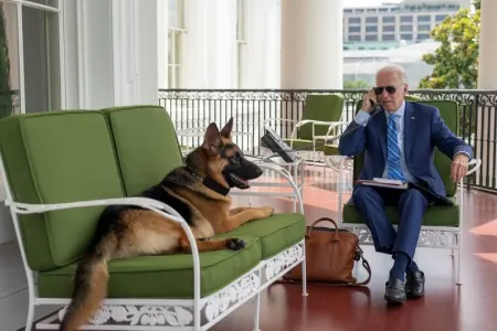 Bayden tibbi müayinəsinin nəticələrini açıqladı