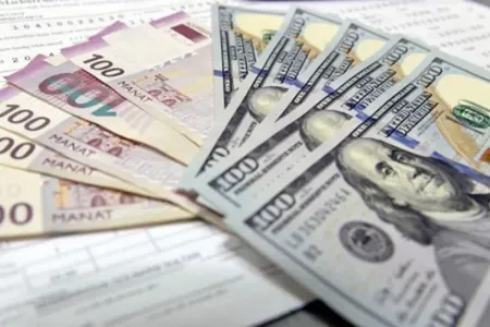 Dollarla bağlı rəsmi məlumat