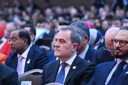 TDT dünyanın diqqətini çəkir - Ceyhun Bayramov