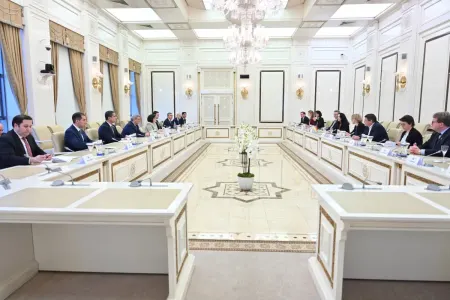 Milli Məclisin sədri Almaniya Bundestaqının nümayəndə heyəti ilə görüşüb