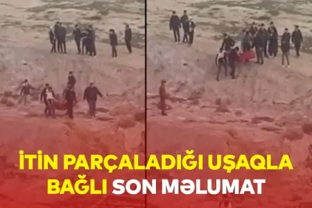 İtlərin parçaladığı uşağın - SON DURUMU