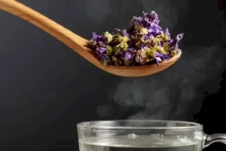 Bir dəfəyə öskürəyi kəsə bilən çiçək