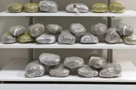 Çamadanından 22 kiloqram marixuana çıxdı