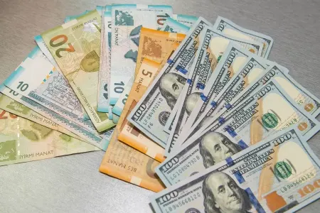 Azərbaycanda iyun ayında devalvasiya olacaq? - AÇIQLAMA