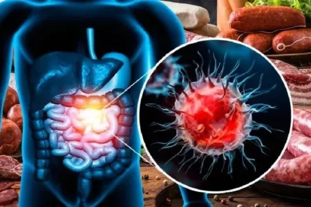 Bu qidalar xərçəng riskini 40 faiz artırır