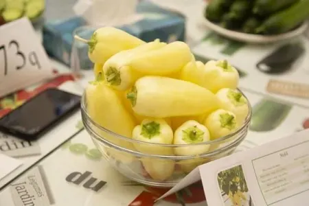 Xəstələnməmək üçün hər gün bunları yeyin!