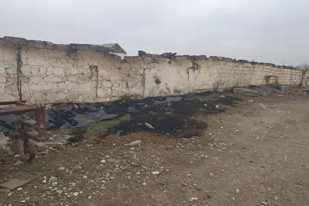 Goranboyda 230 baş qoyunu qəsdən yandıranlar - SAXLANILDI