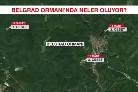 Belqrad meşəsində nə baş verir? - 35 gündə 3 cəsəd