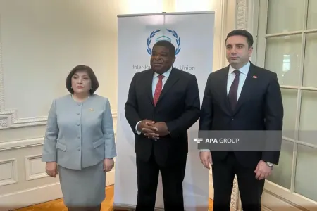 Sahibə Qafarova və Alen Simonyan arasında görüş keçirilib