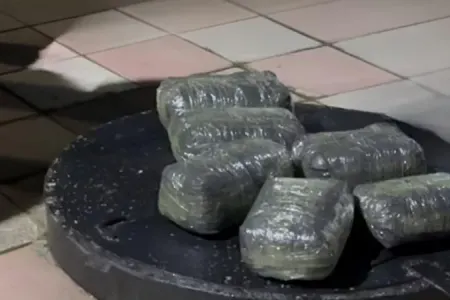 Azərbaycanda ötən gün 23 kiloqrama yaxın narkotik aşkarlandı