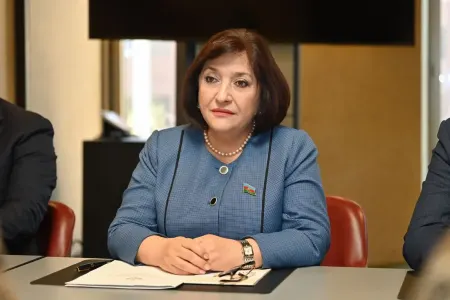 Sahibə Qafarova Anna Brnabiç ilə görüşdü