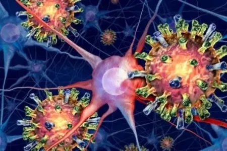 21 yaşlı tələbə quş qripindən öldü