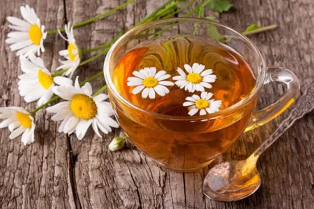 Çobanyastığı çayının bilmədiyimiz - FAYDALARI