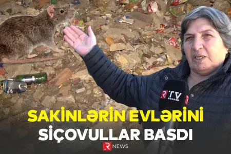 Xəzər rayonunda acınacaqlı vəziyyət - — ÖZƏL VİDEO