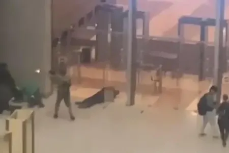 Terrorçuları çiplərlə idarə ediblər? - ŞOK AÇIQLAMA
