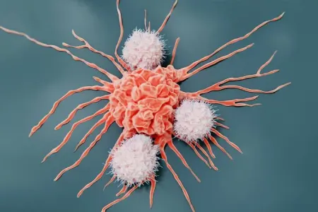 Ən çox görülən xərçəng növləri