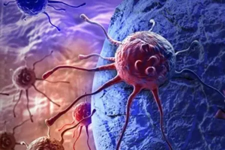 Gənclər arasında xərçəng xəstəliyinin - YAYILMASININ SƏBƏBİ