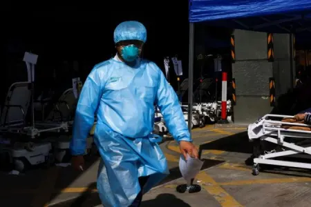 İlk dəfə: - “Meymun B” virusu aşkar edildi