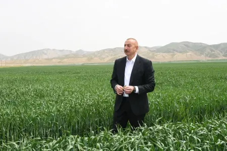 İlham Əliyev Hacıqabul rayonunda olub