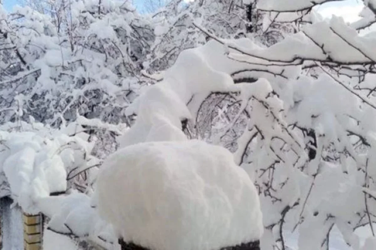 Qış geri qayıdır?