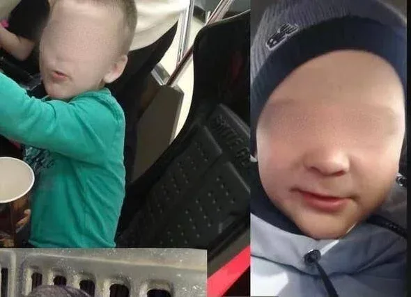 İt meşədə azan uşağı donmaqdan belə xilas etdi - FOTOlar