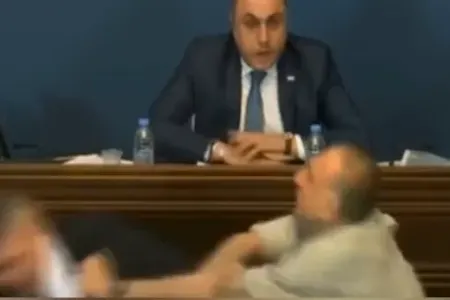 Gürcüstanda deputatlar arasında DAVA - VİDEO
