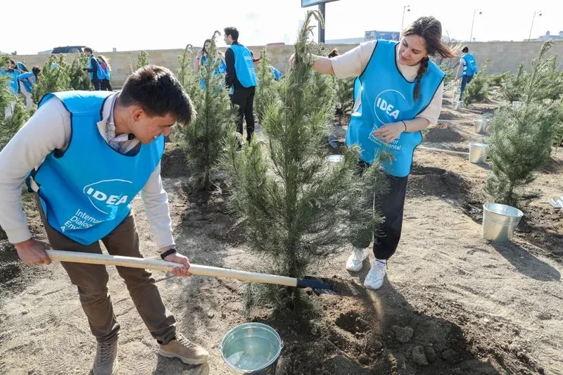 Bakıda Leyla Əliyevanın iştirakı ilə ağacəkmə aksiyası keçirilib