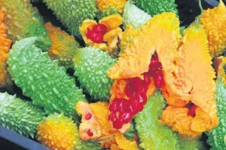 Mədə xorasını sağaldan təbii məhsullar