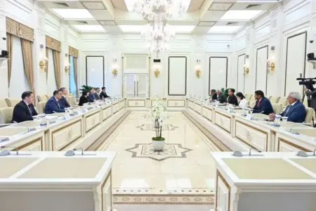 "Fransa regionda gərginliyi artırır" - Sahibə Qafarova