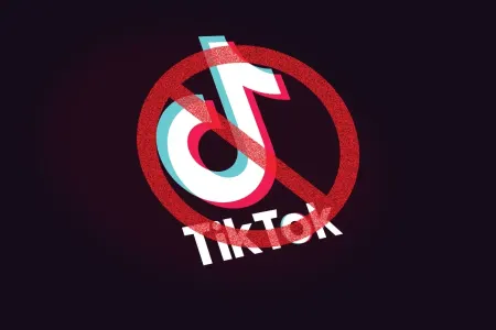 TikTok-un fəaliyyəti qismən dayandırıldı